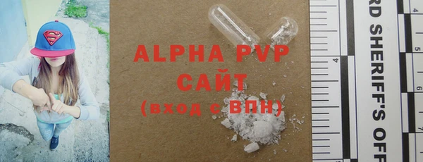 МДПВ Бородино