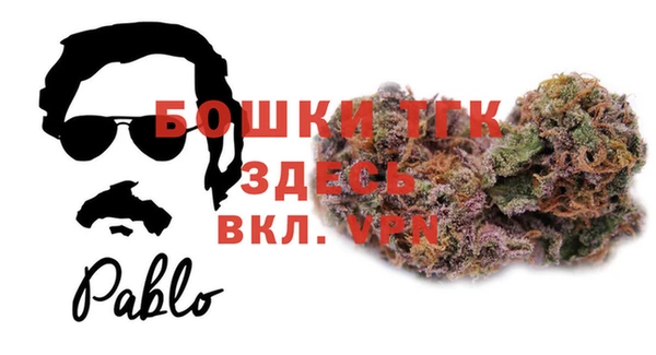 МДПВ Бородино