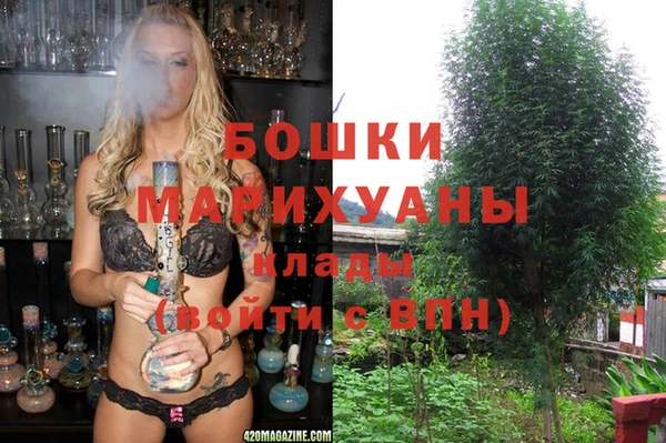 PSILOCYBIN Бронницы