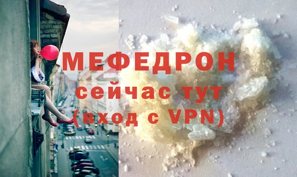 МДПВ Бородино
