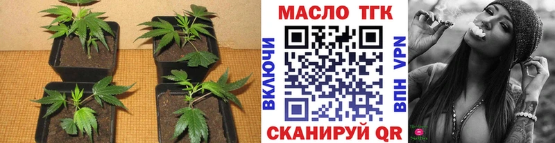 это как зайти  Великий Новгород  ТГК Wax 