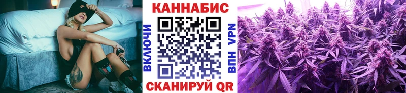 Бошки Шишки план  Великий Новгород 